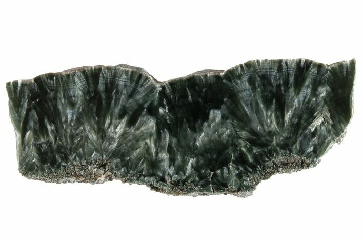 Polished Seraphinite Slab - Siberia #183488